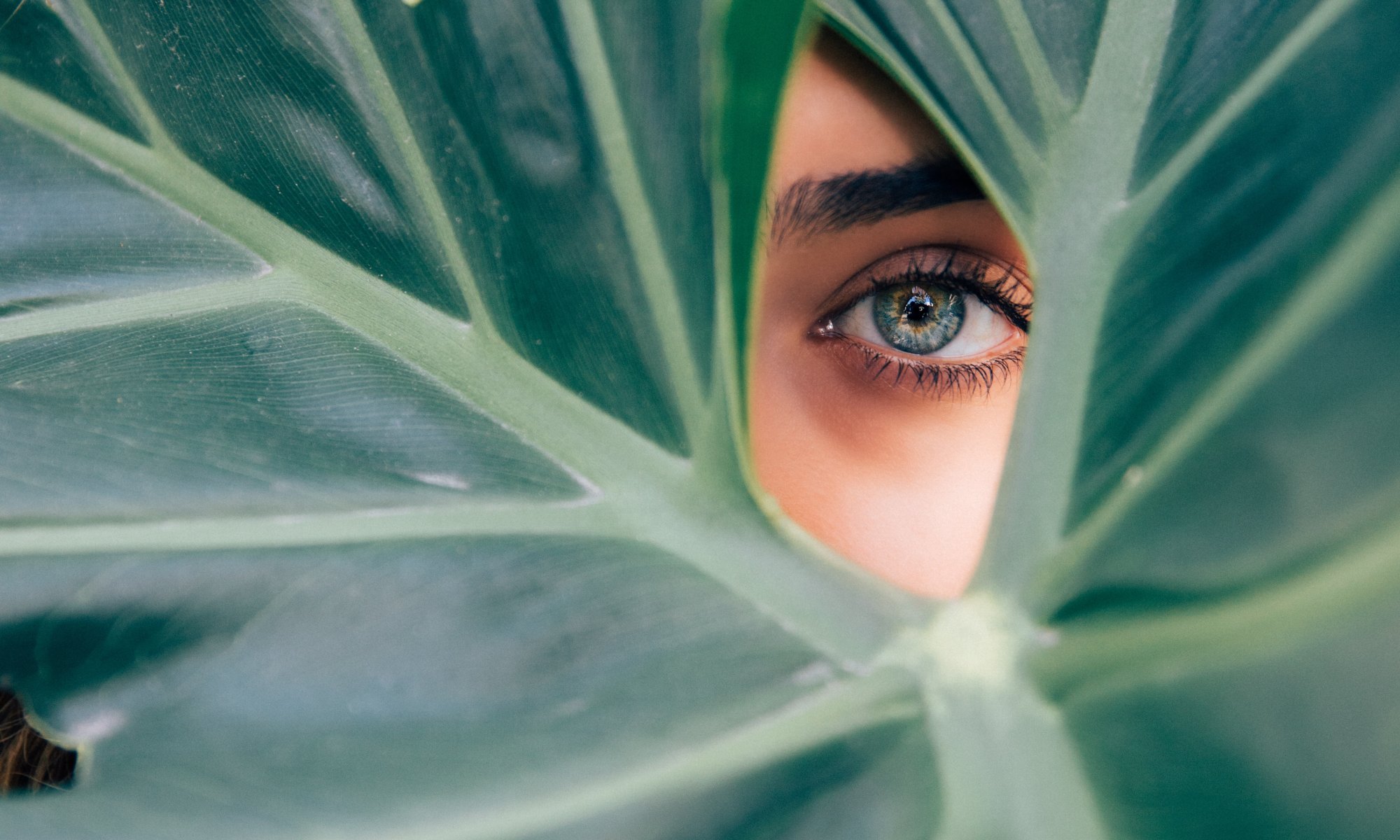 woman with green eye peaking through green plants